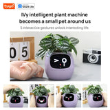 Pet Plant – Vaso Inteligente Interativo com Expressões e Cuidados via App - ALL IN. COMPRAS