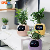 Pet Plant – Vaso Inteligente Interativo com Expressões e Cuidados via App - ALL IN. COMPRAS