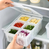 Organiza Tudo Box – Praticidade e Frescor em um Só Lugar! - ALL IN. COMPRAS