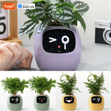 Pet Plant – Vaso Inteligente Interativo com Expressões e Cuidados via App - ALL IN. COMPRAS
