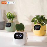 Pet Plant – Vaso Inteligente Interativo com Expressões e Cuidados via App - ALL IN. COMPRAS