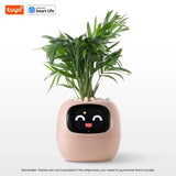 Pet Plant – Vaso Inteligente Interativo com Expressões e Cuidados via App