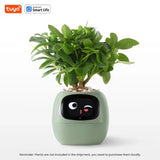 Pet Plant – Vaso Inteligente Interativo com Expressões e Cuidados via App